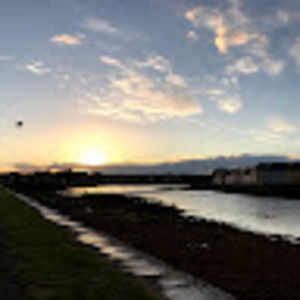 Meet your Posher, Cecilia